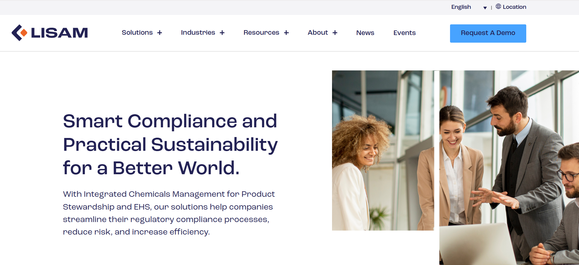 Lisam Systems Website