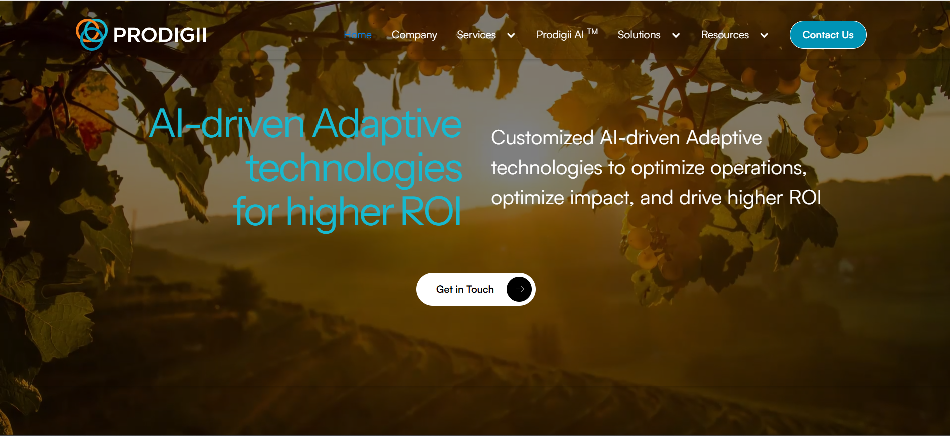 Prodigii Website