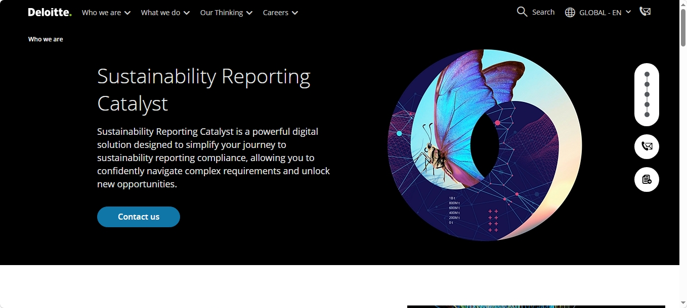 Deloitte Website