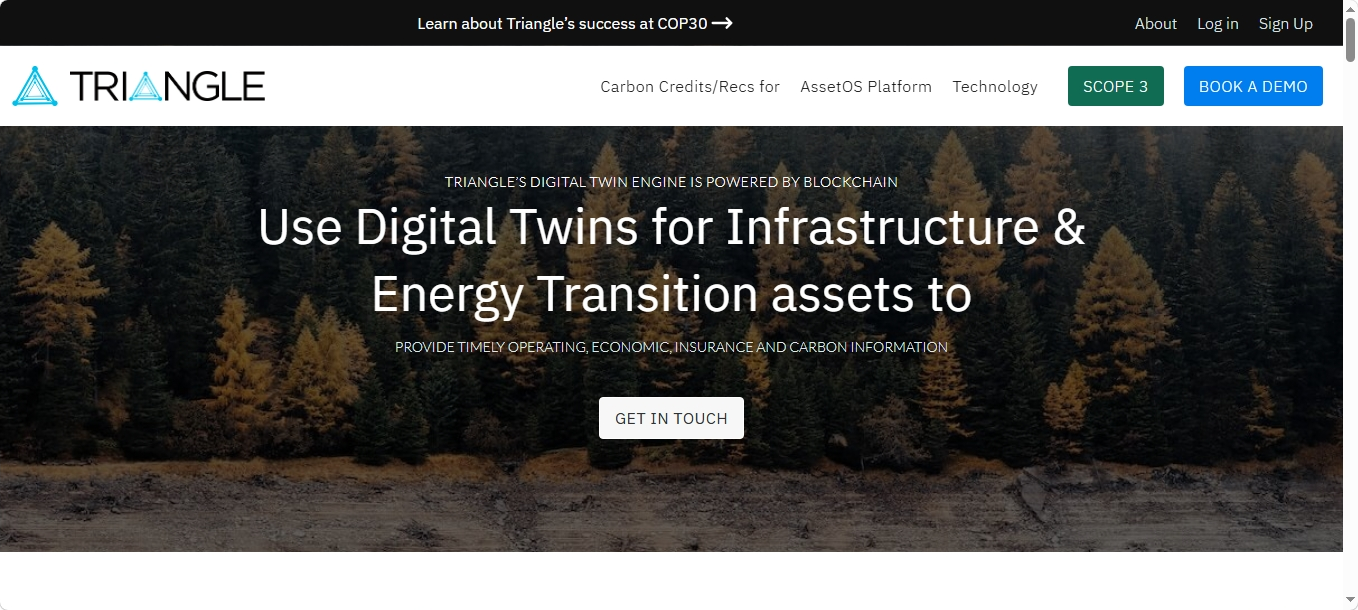 Triangle website