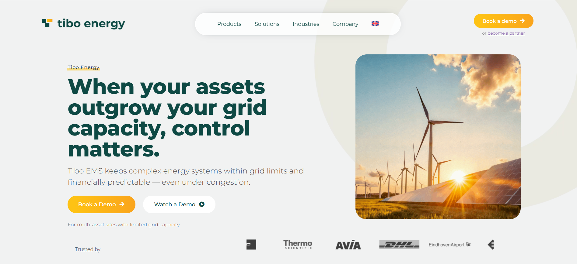 Tibo Energy Website
