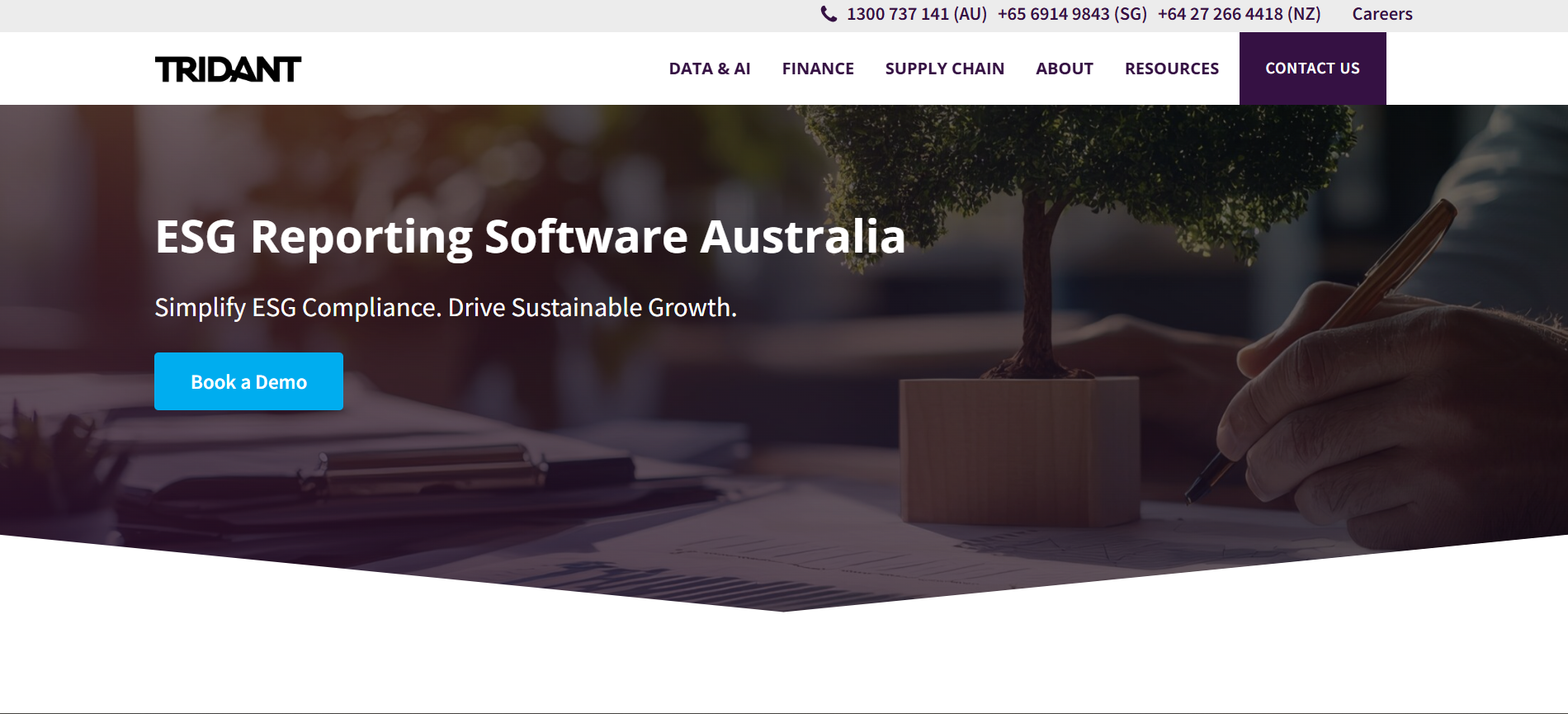 Tridant Website